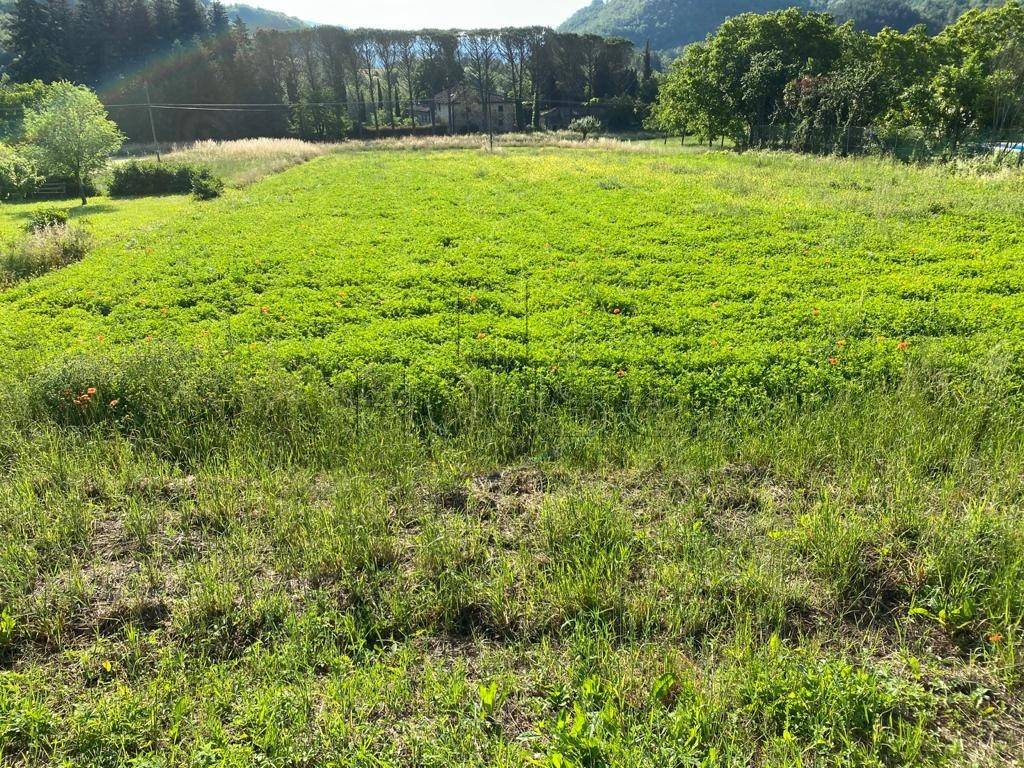 Terreno a Sansepolcro in Via Il Cerro, Caprese Michelangelo, AR - Foto 2