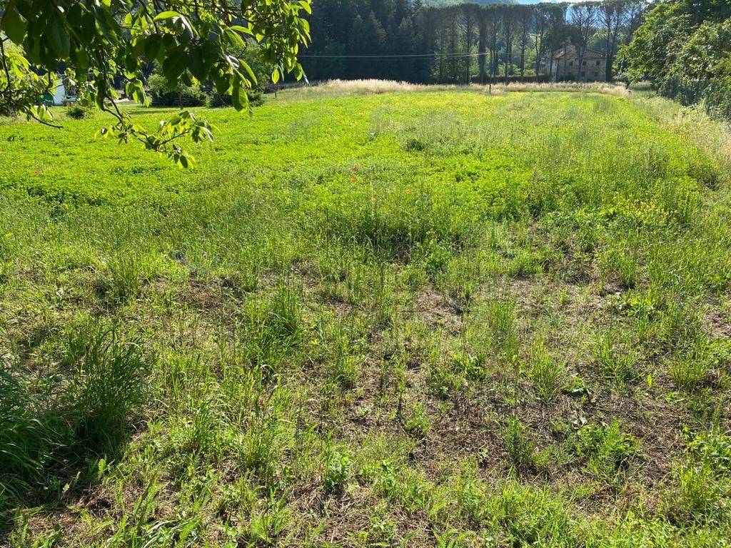 Terreno a Sansepolcro in Via Il Cerro, Caprese Michelangelo, AR - Foto 4