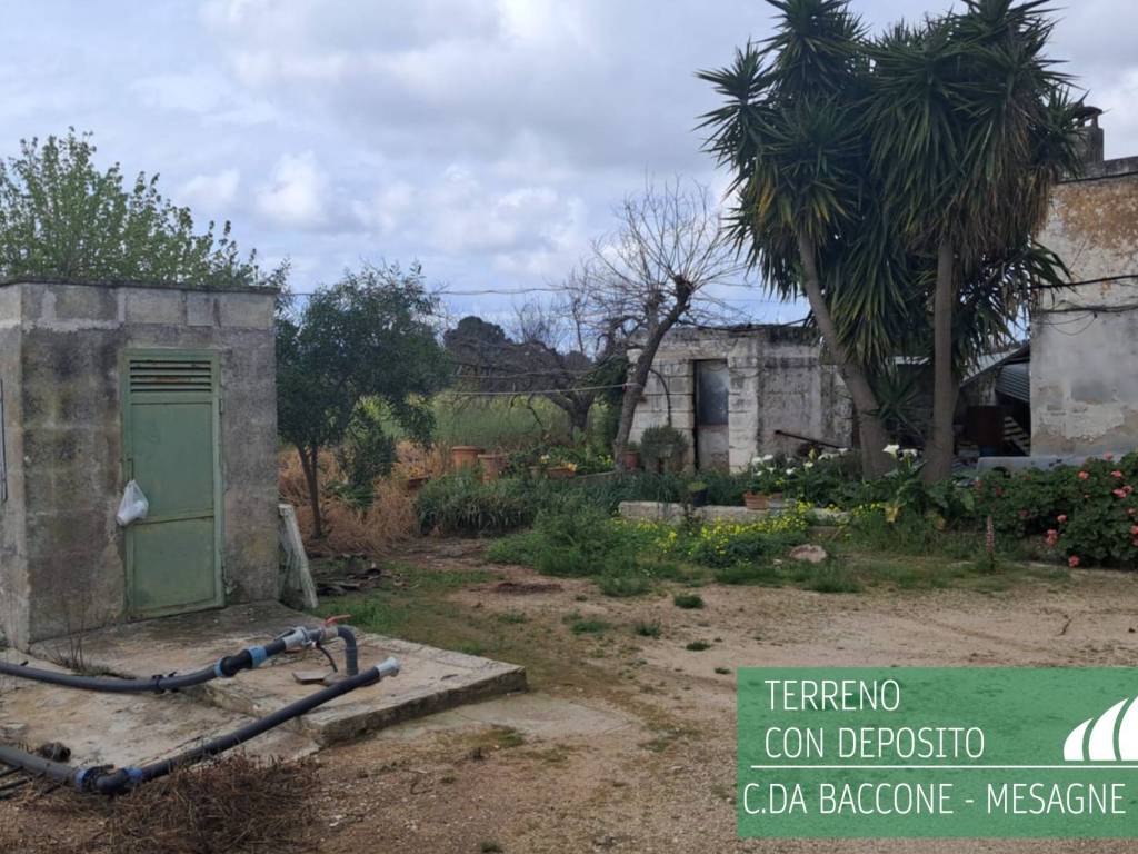 Rustico / casale a Mesagne in Contrada Baccone - Foto 3