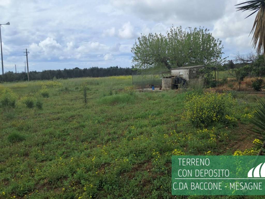 Rustico / casale a Mesagne in Contrada Baccone - Foto 5