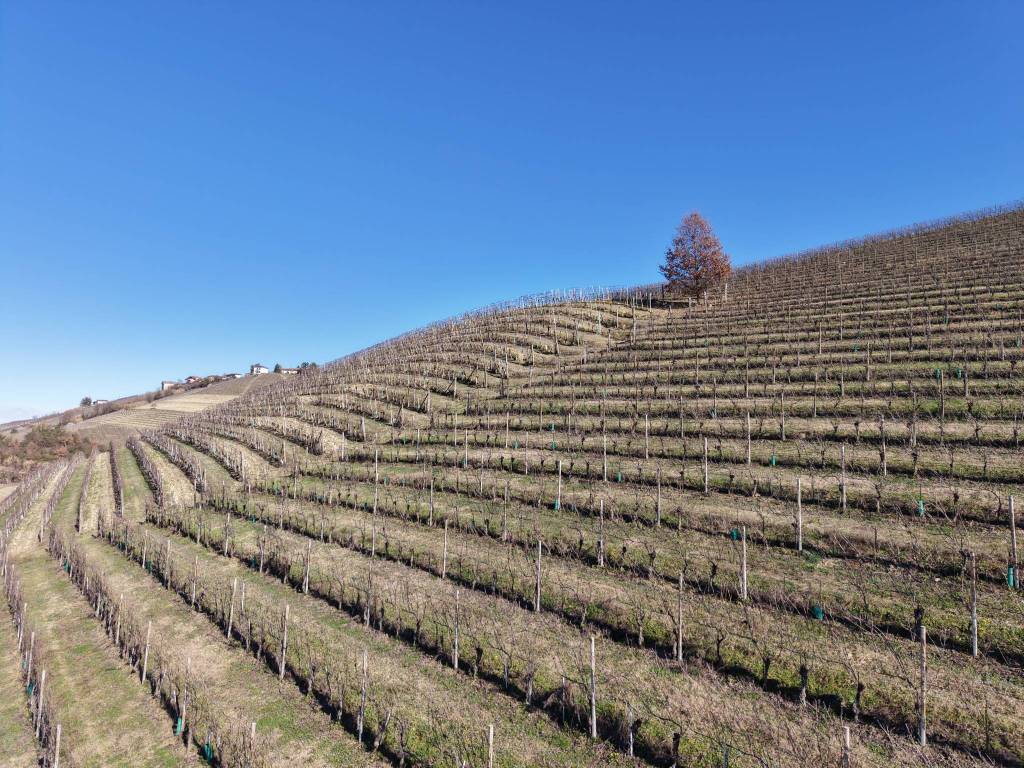 Terreno a Castiglione tinella in Strada Valle Bera, 15 - Foto 2