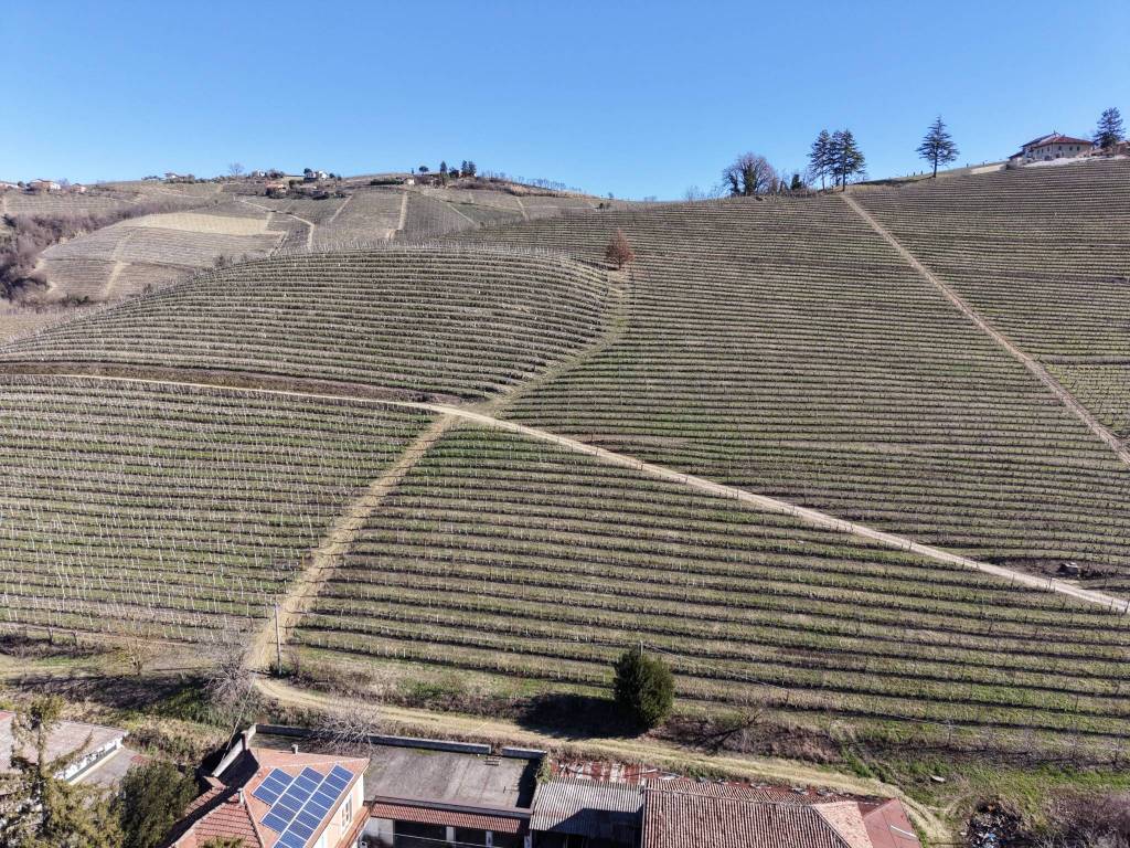 Terreno a Castiglione tinella in Strada Valle Bera, 15 - Foto 4