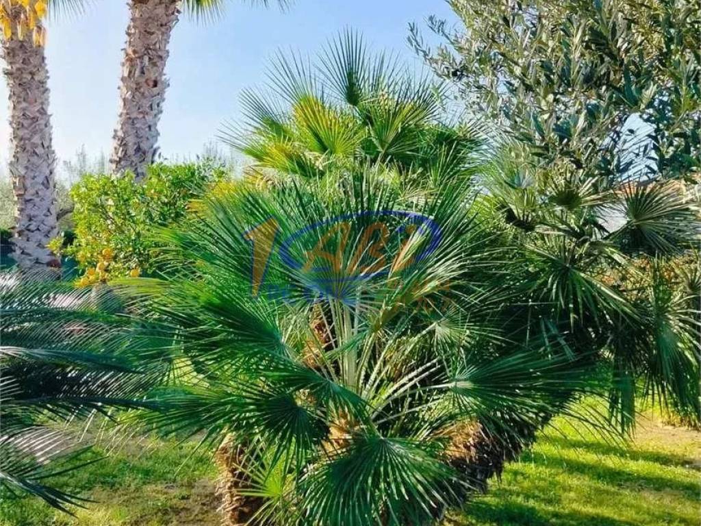Villa a Treglio - Foto 5