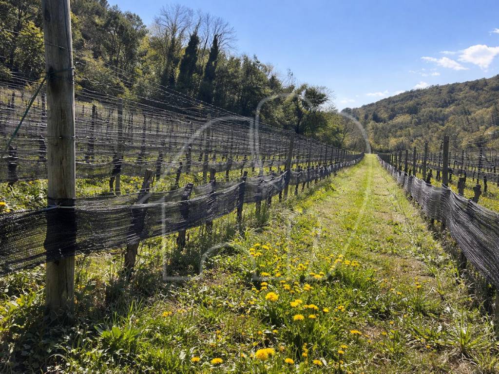 Terreno a Montagna - Foto 2