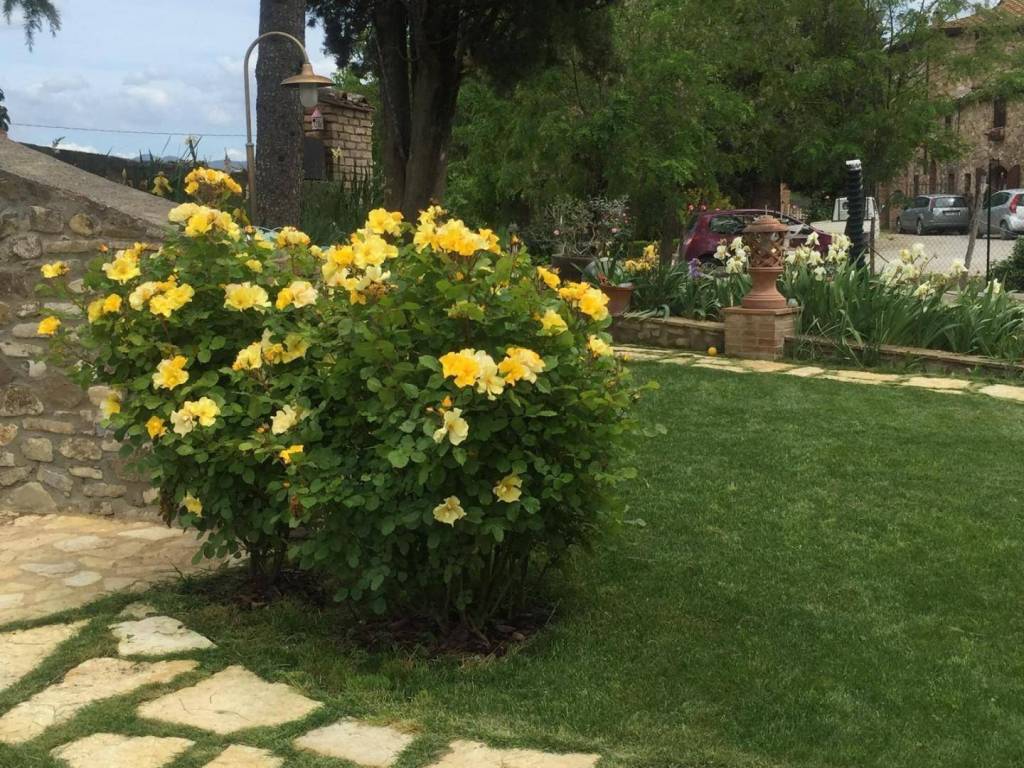 Villa a Siena - Foto 4