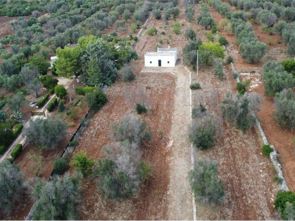 Rustico / casale a Ceglie messapica in c.da Sardella, snc - Foto 4