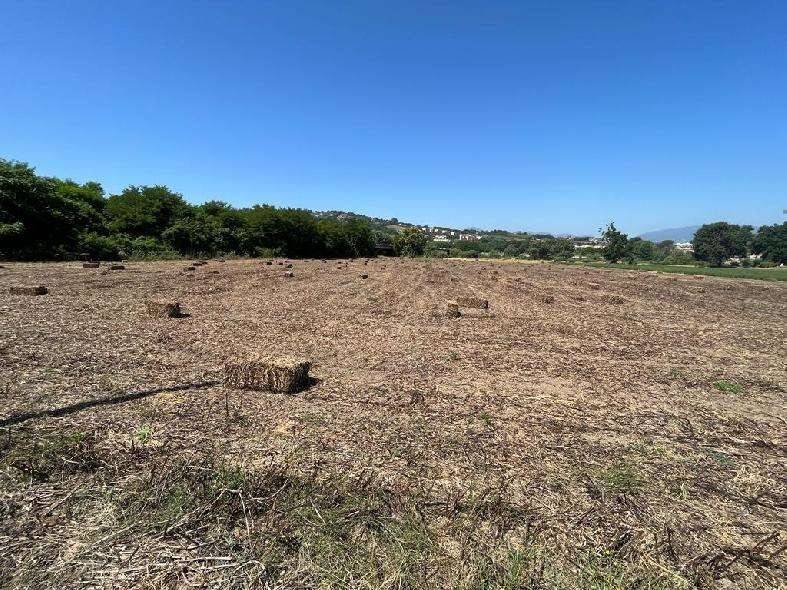 Terreno a Benevento in Contrada Piano Morra - Foto 3