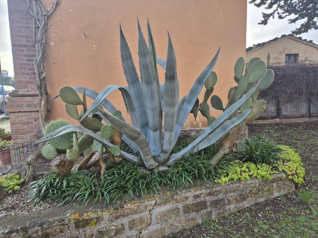 Palazzo / stabile a Arcevia in Castiglioni - Foto 2