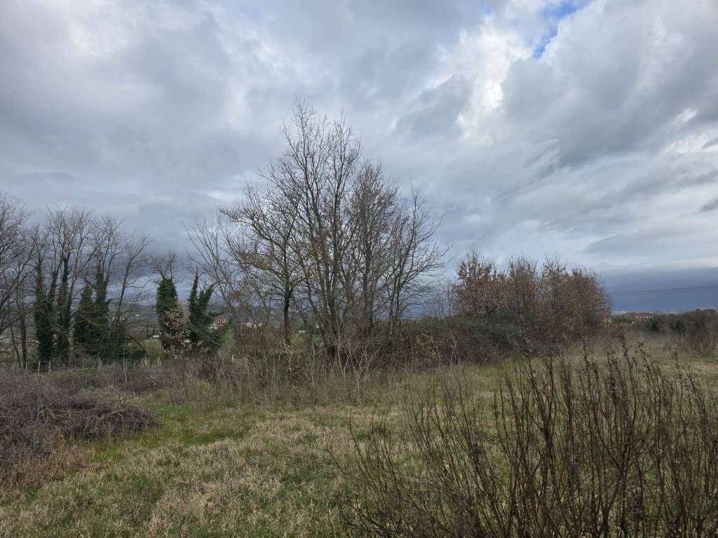 Terreno a Melizzano in Contrada Boscarelle - Foto 3