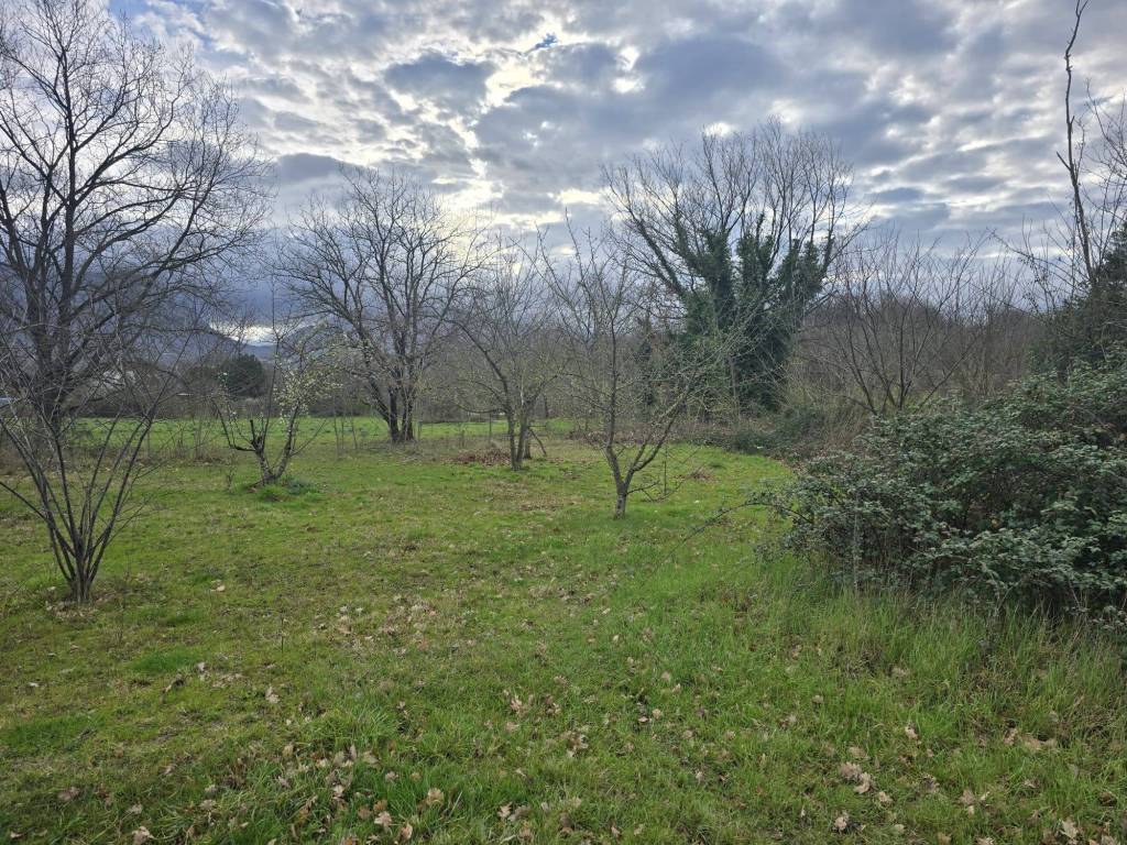 Terreno a Melizzano in Contrada Boscarelle - Foto 4