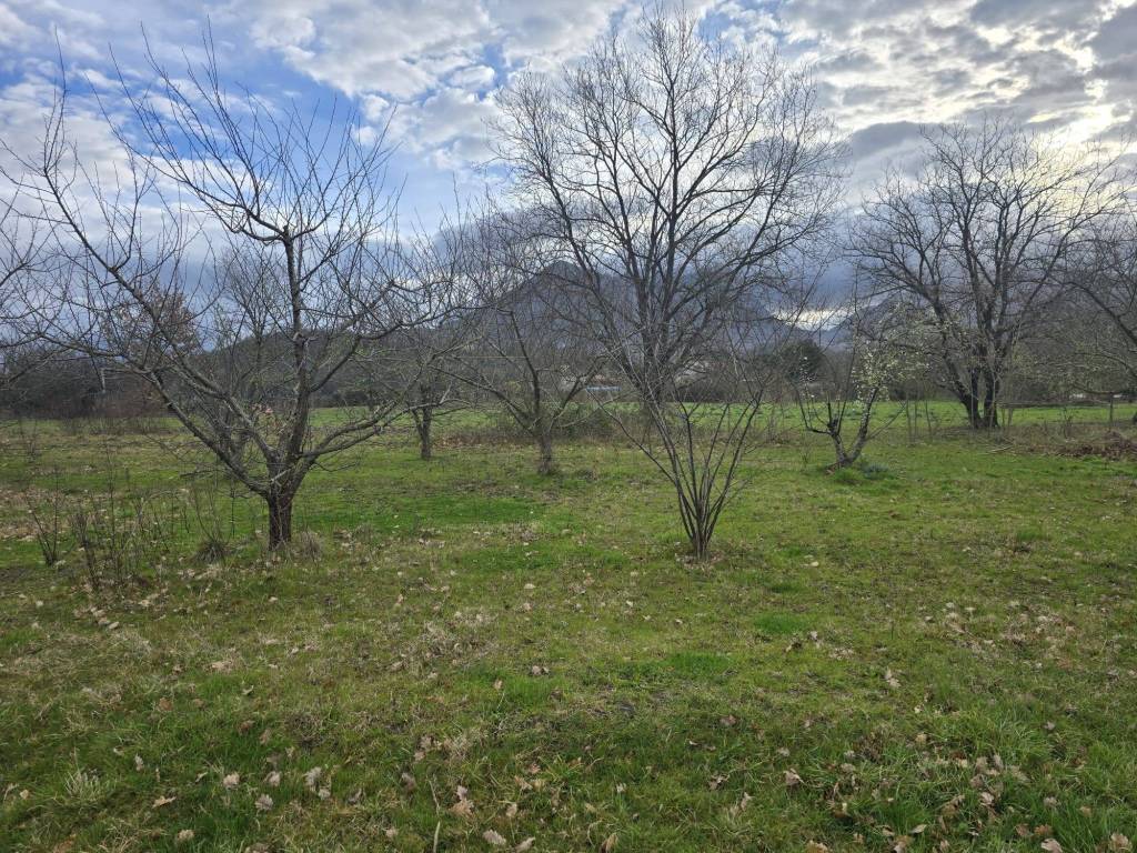 Terreno a Melizzano in Contrada Boscarelle - Foto 5