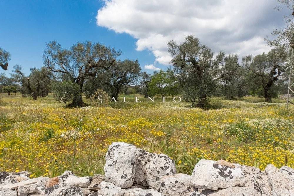 Terreno a Salve in Strada Comunale Schifazzi Leopoldi - Foto 4
