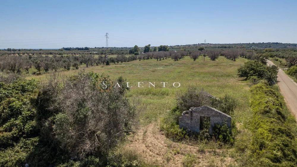 Rustico / casale a Salve in Strada Vicinale Terramascia - Foto 4