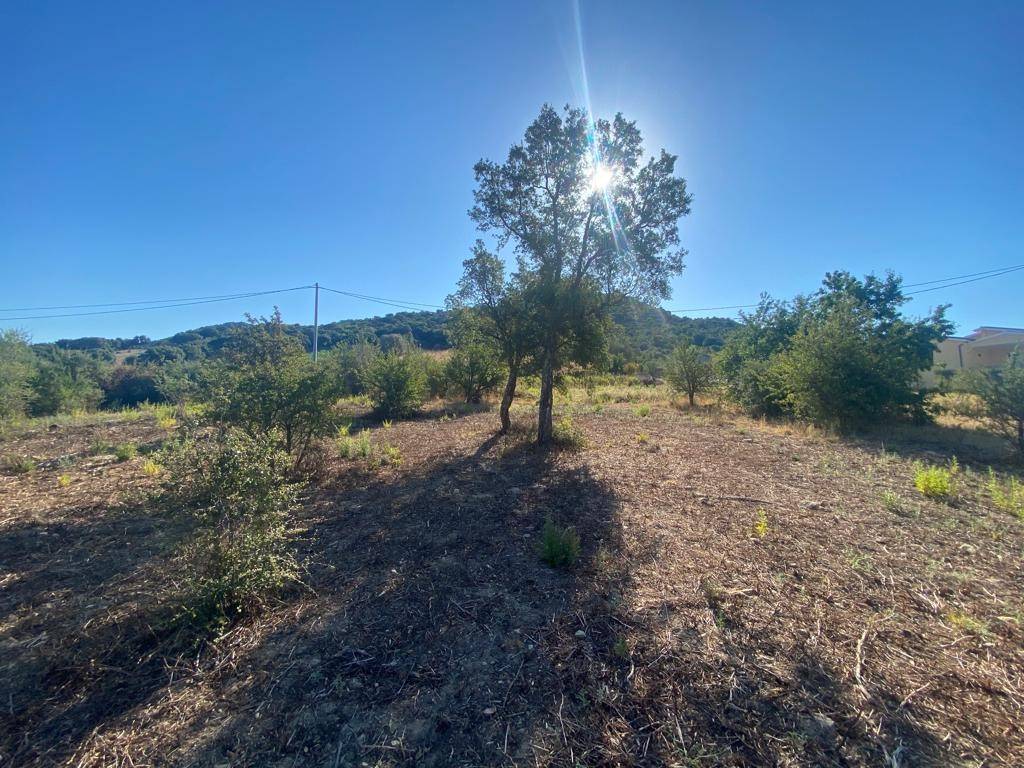 Terreno a Loiri porto san paolo in Via del Mandorlo - Foto 3