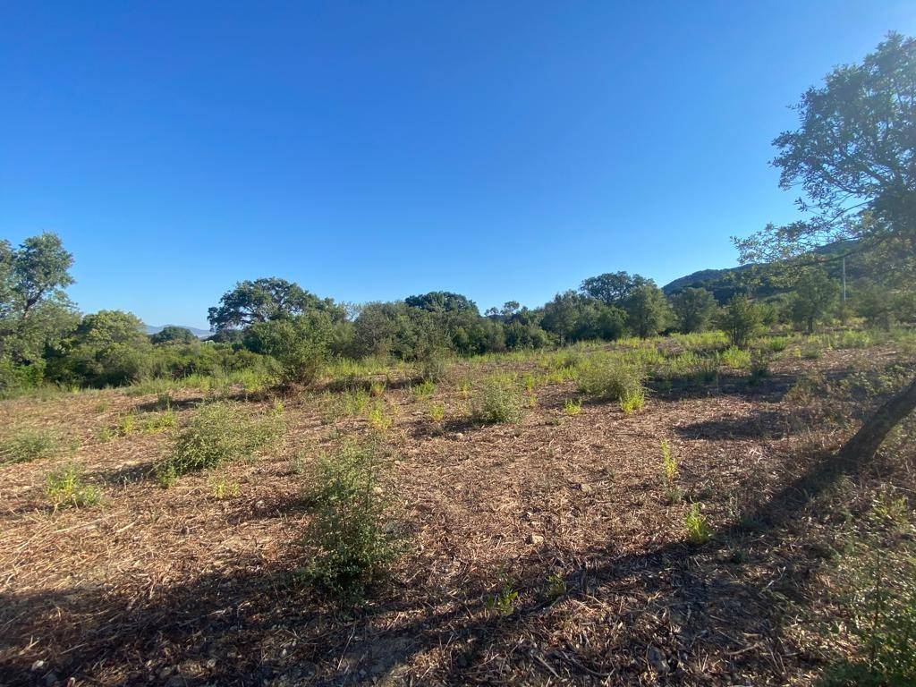 Terreno a Loiri porto san paolo in Via del Mandorlo - Foto 4