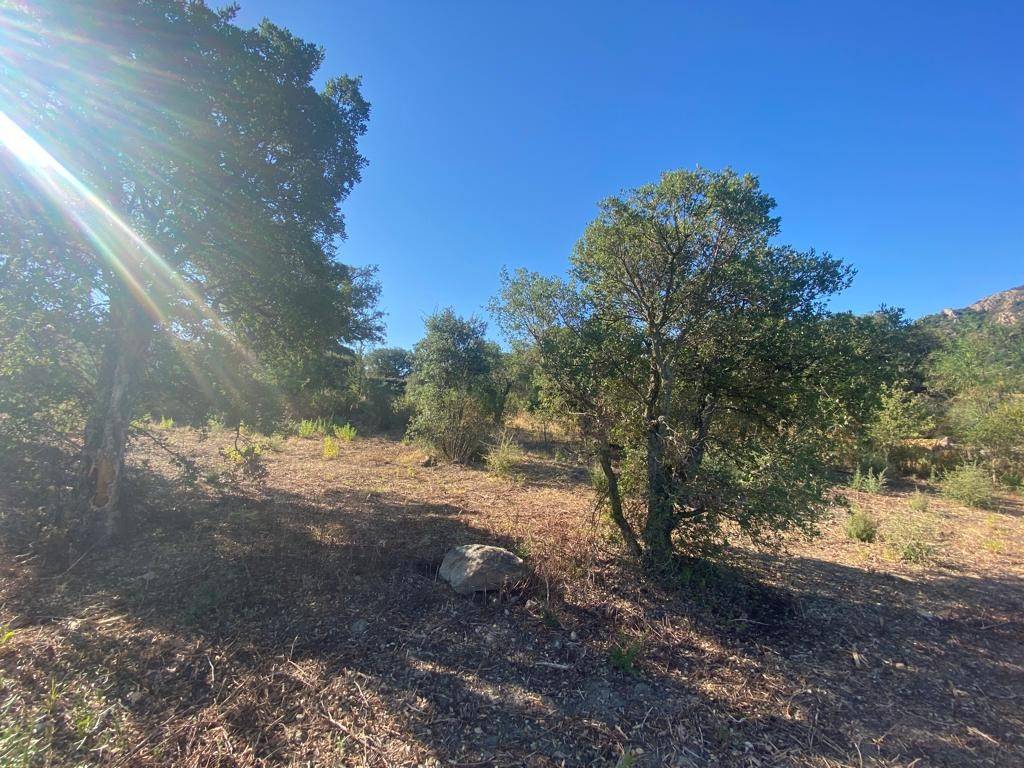 Terreno a Loiri porto san paolo in Via del Mandorlo - Foto 4