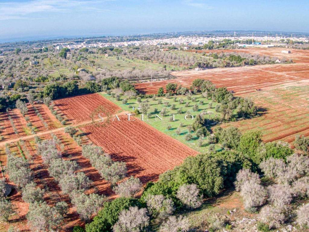 Terreno a Morciano di leuca in Via Montarrina - Foto 2
