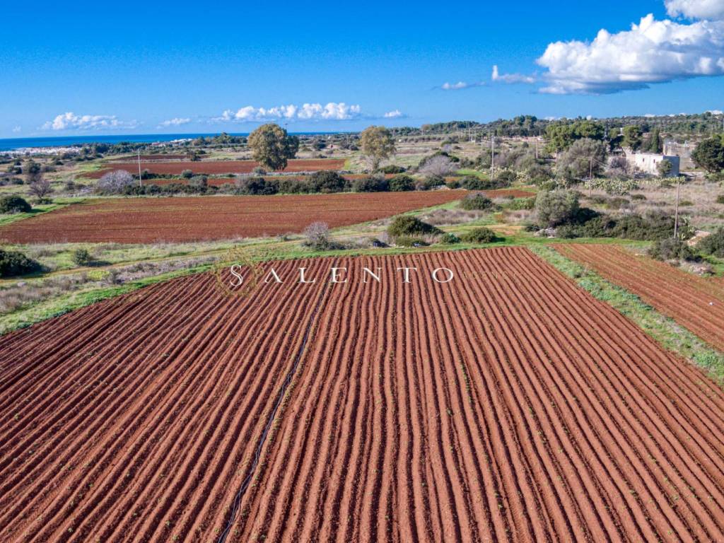Rustico / casale a Salve in Torre Pali - Foto 4