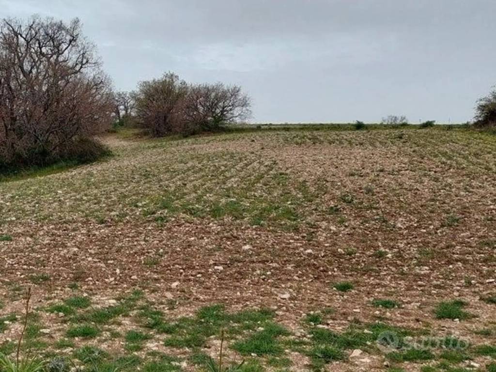 Terreno a Ruvo di puglia - Foto 2