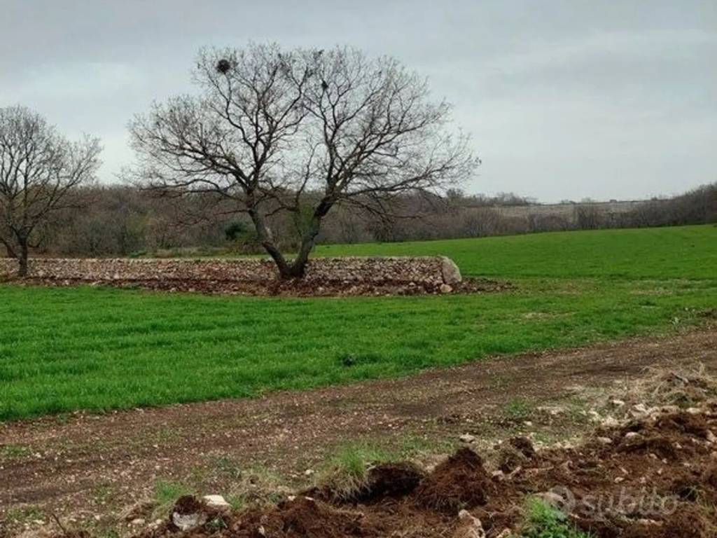 Terreno a Ruvo di puglia - Foto 3