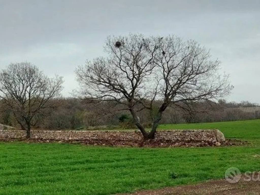 Terreno a Ruvo di puglia - Foto 4