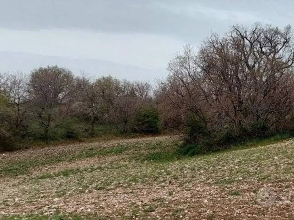 Terreno a Ruvo di puglia - Foto 5