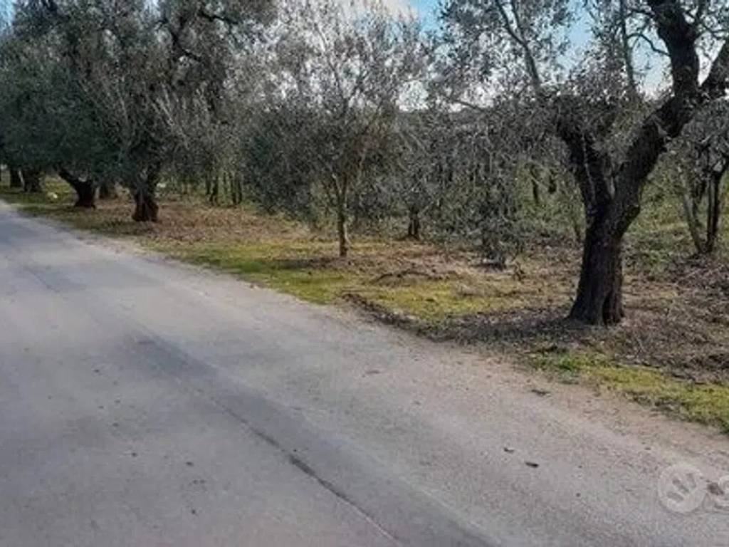 Terreno a Barletta in Via Vecchia Per Canosa No Number - Foto 2