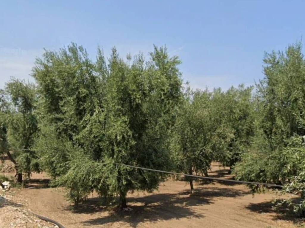 Rustico / casale a Molfetta in Urb. Molfetta Molfetta - Foto 5