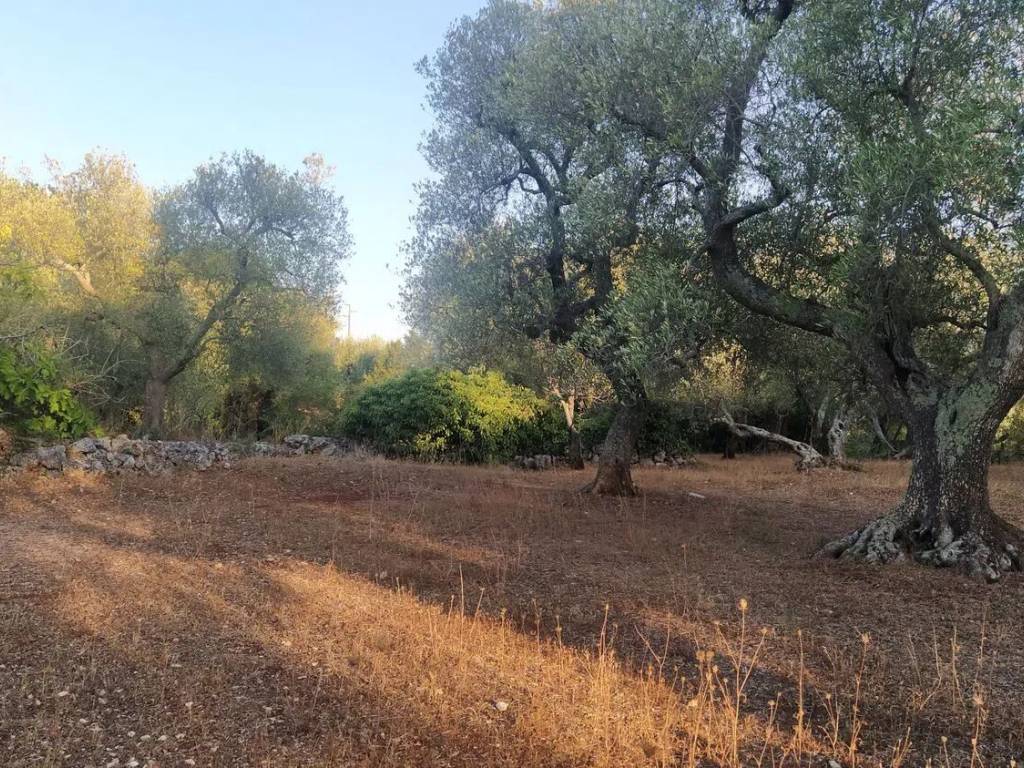 Terreno a Ostuni in Sp14, 6 - Foto 3