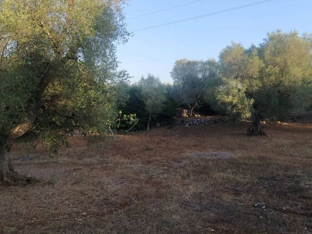 Terreno a Ostuni in Sp14, 6 - Foto 5