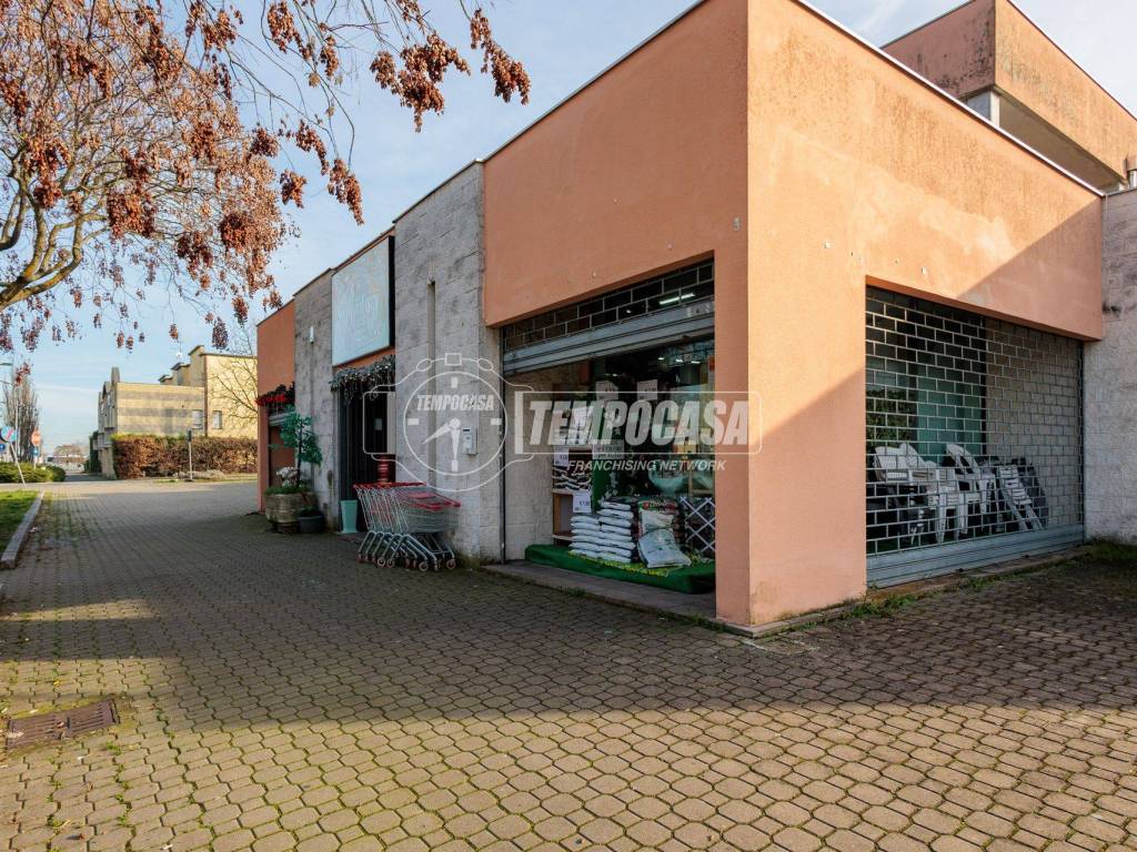 Immobile a Collecchio in Viale Giuseppe Saragat 39 - Foto 3