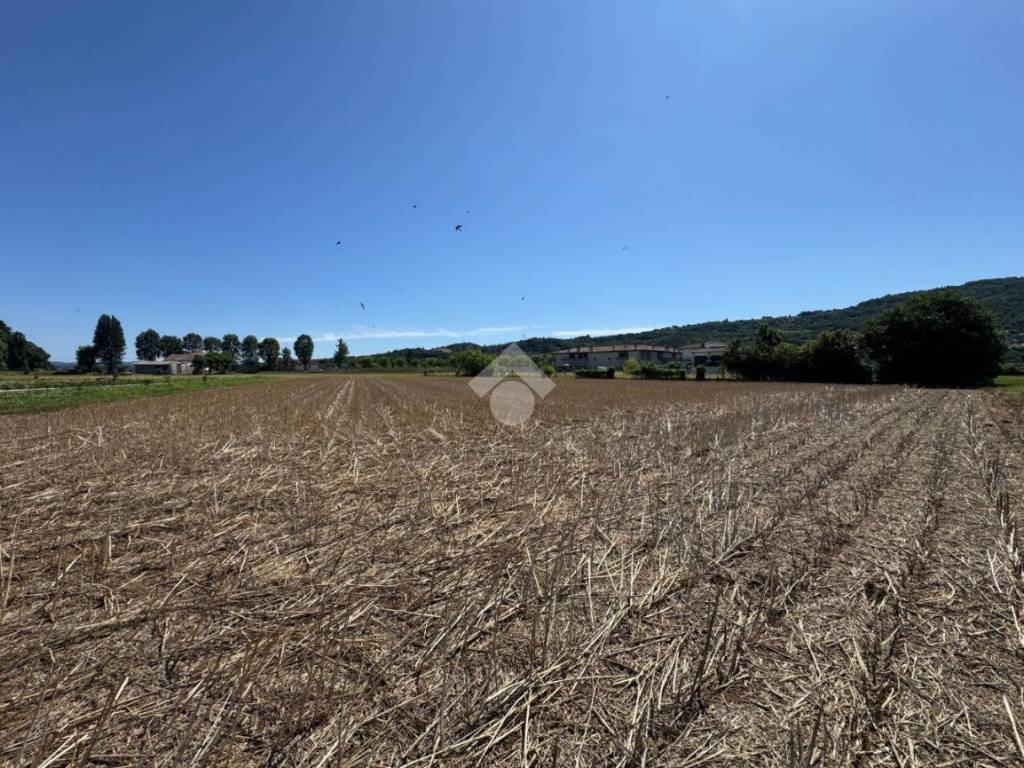 Terreno a Isola vicentina in Via Vicenza, 61 - Foto 4