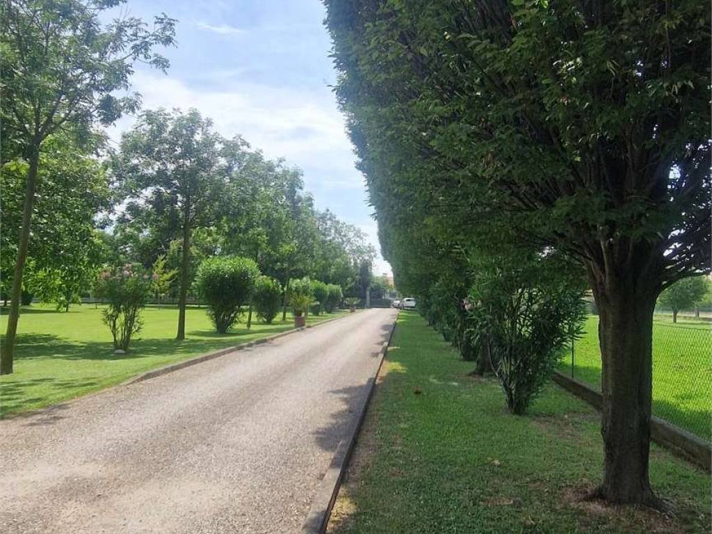 Casa indipendente a Montebelluna - Foto 3