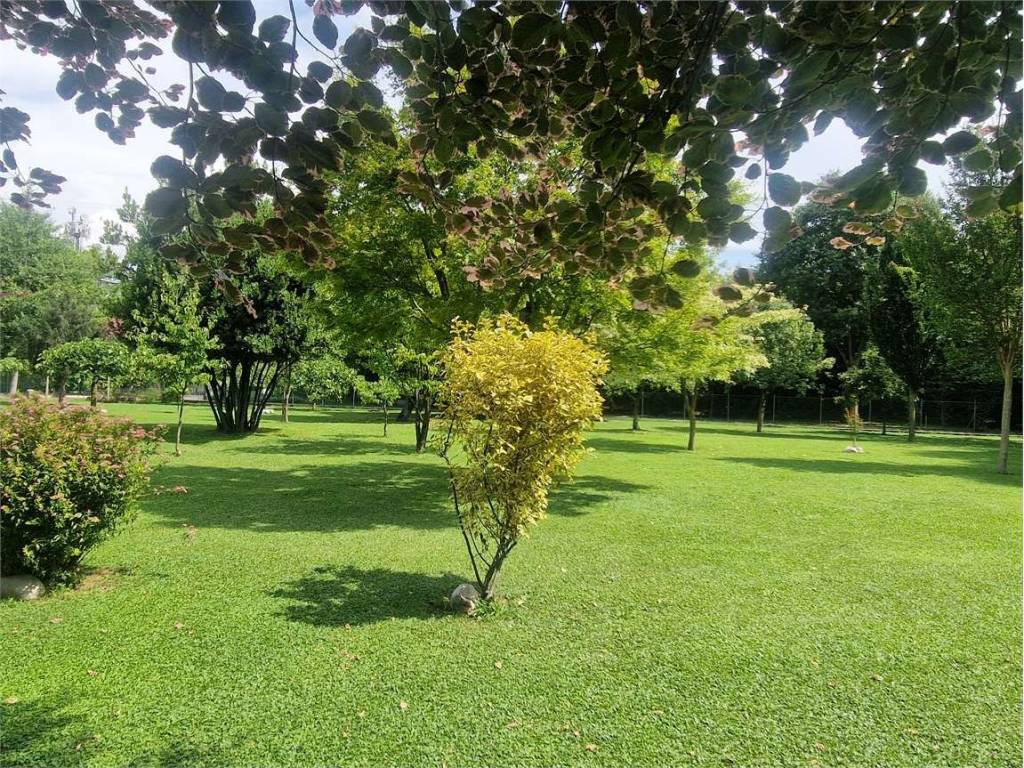 Casa indipendente a Montebelluna - Foto 4