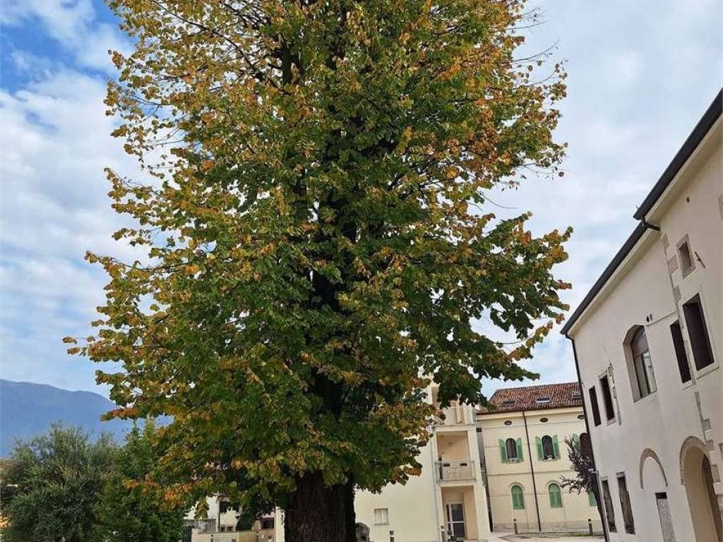 Appartamento a Vittorio veneto - Foto 3
