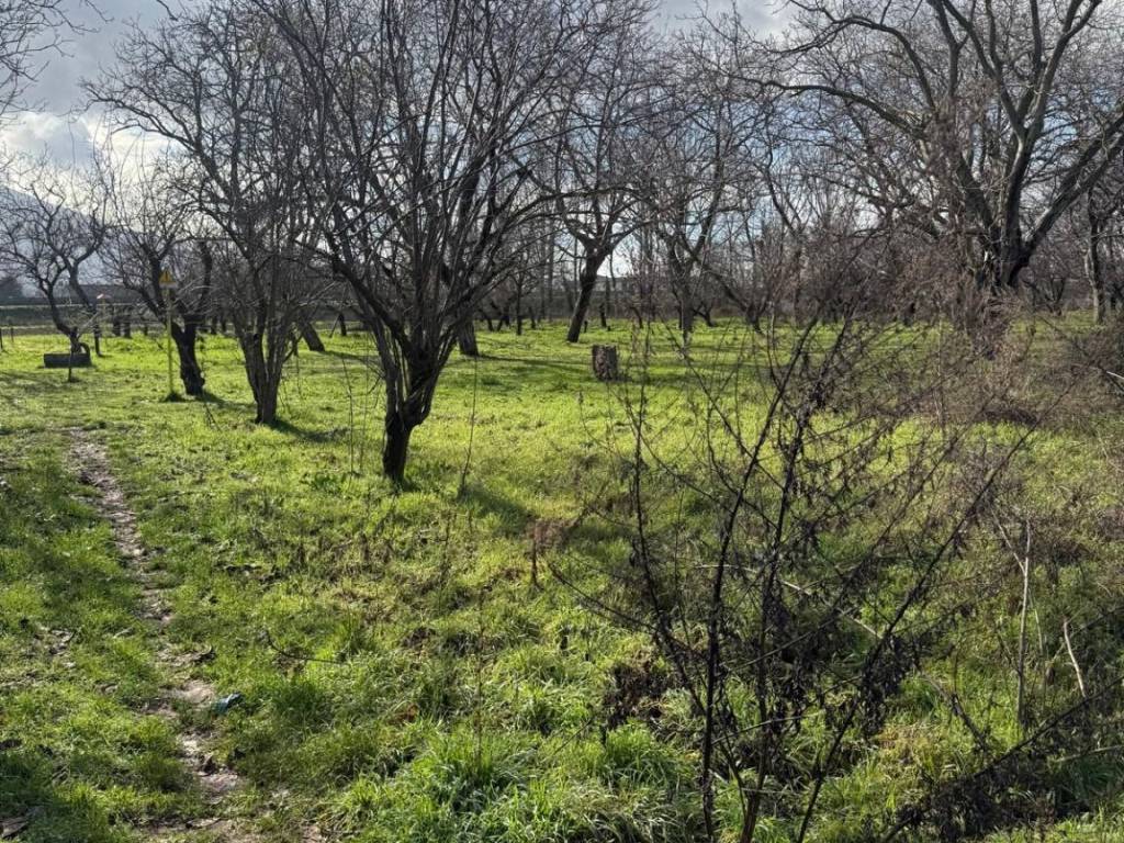 Terreno a Somma vesuviana in Via Pizzone Cassante, 41 - Foto 2