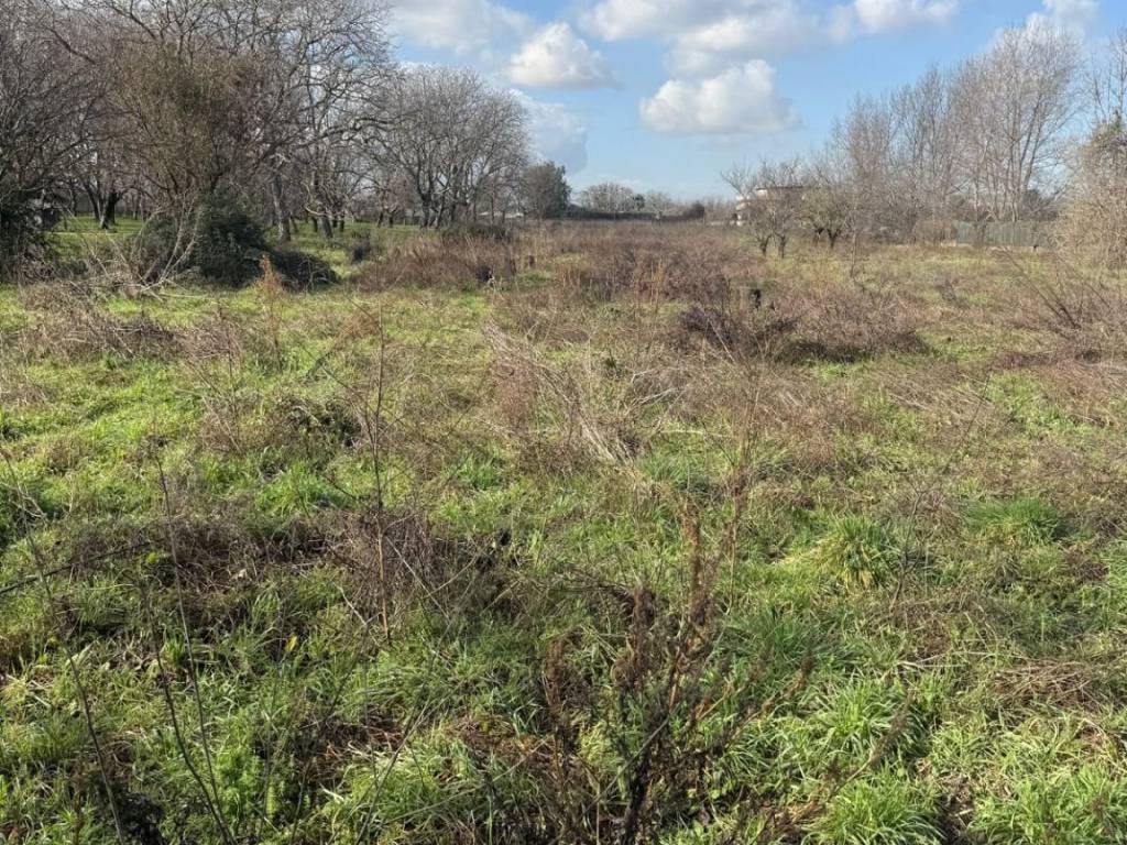 Terreno a Somma vesuviana in Via Pizzone Cassante, 41 - Foto 5