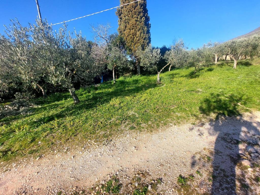 Terreno a Trevi in Località La Croce - Foto 2