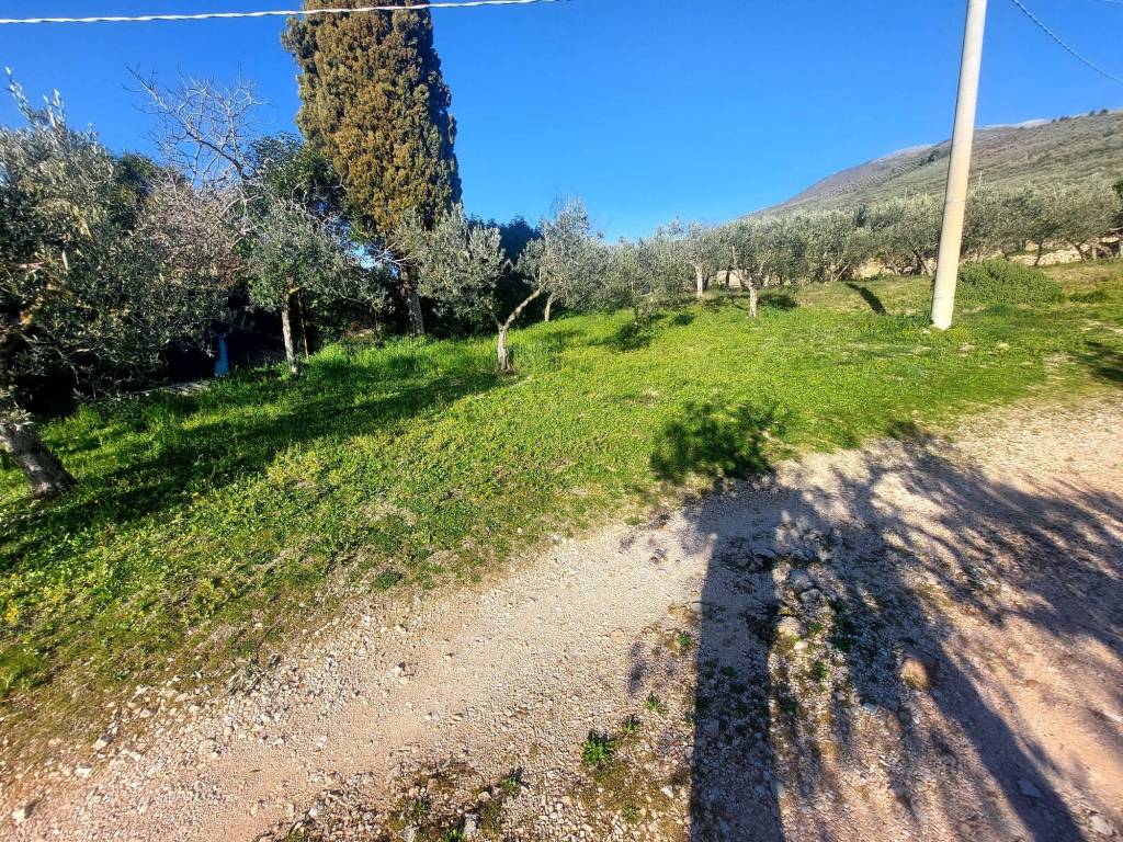 Terreno a Trevi in Località La Croce - Foto 3