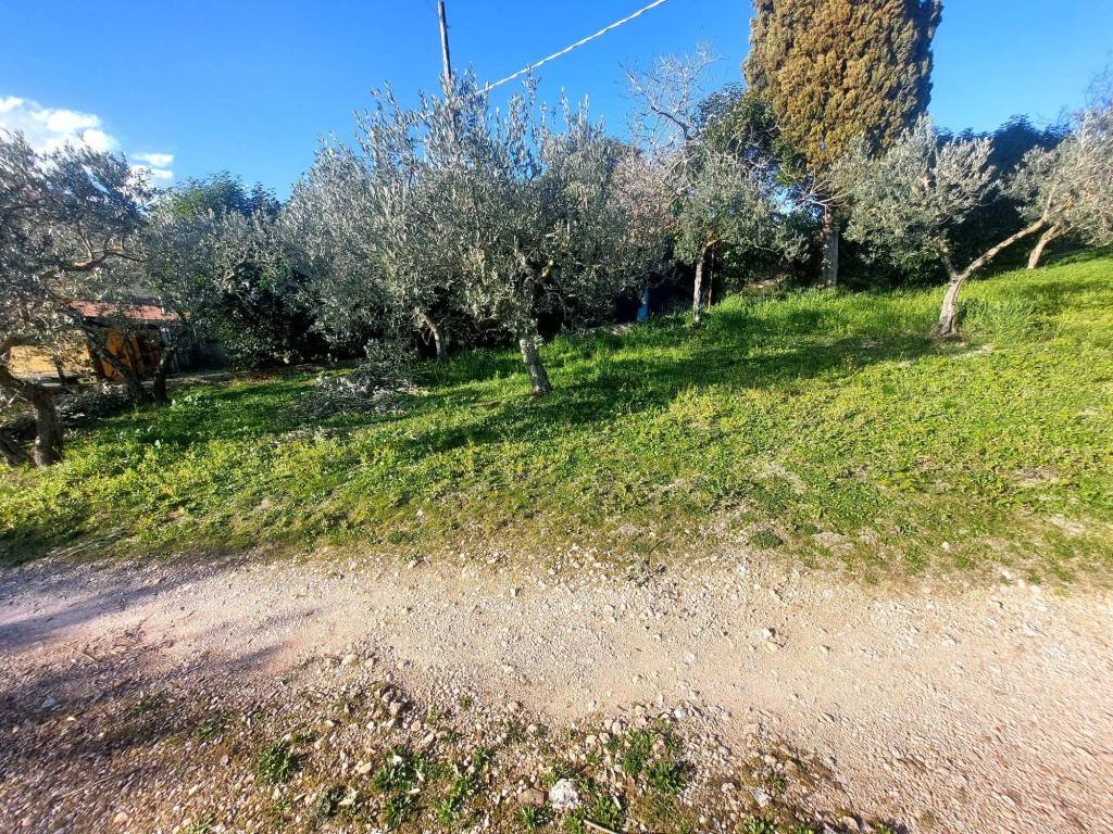Terreno a Trevi in Località La Croce - Foto 4