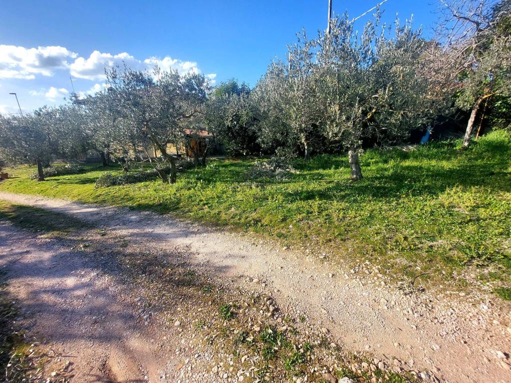 Terreno a Trevi in Località La Croce - Foto 5