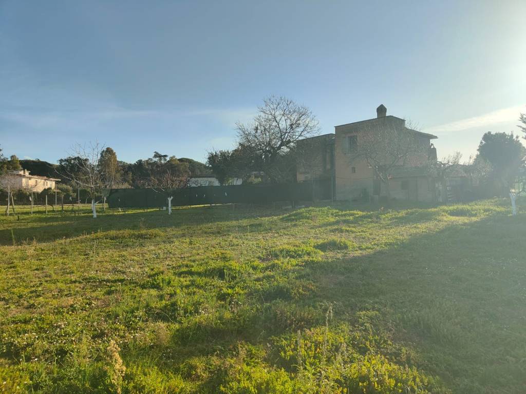 Rustico / casale a Marino in Via dei Ceraseti - Foto 2