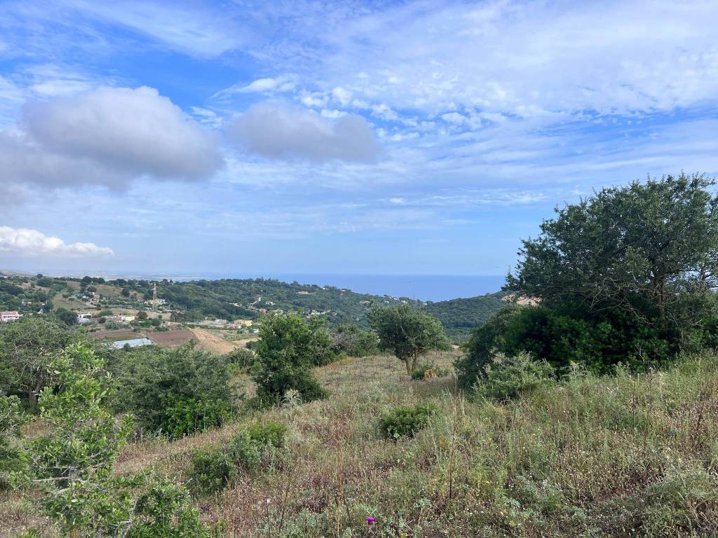 Terreno a Santa marinella in tre cancelli - Foto 2