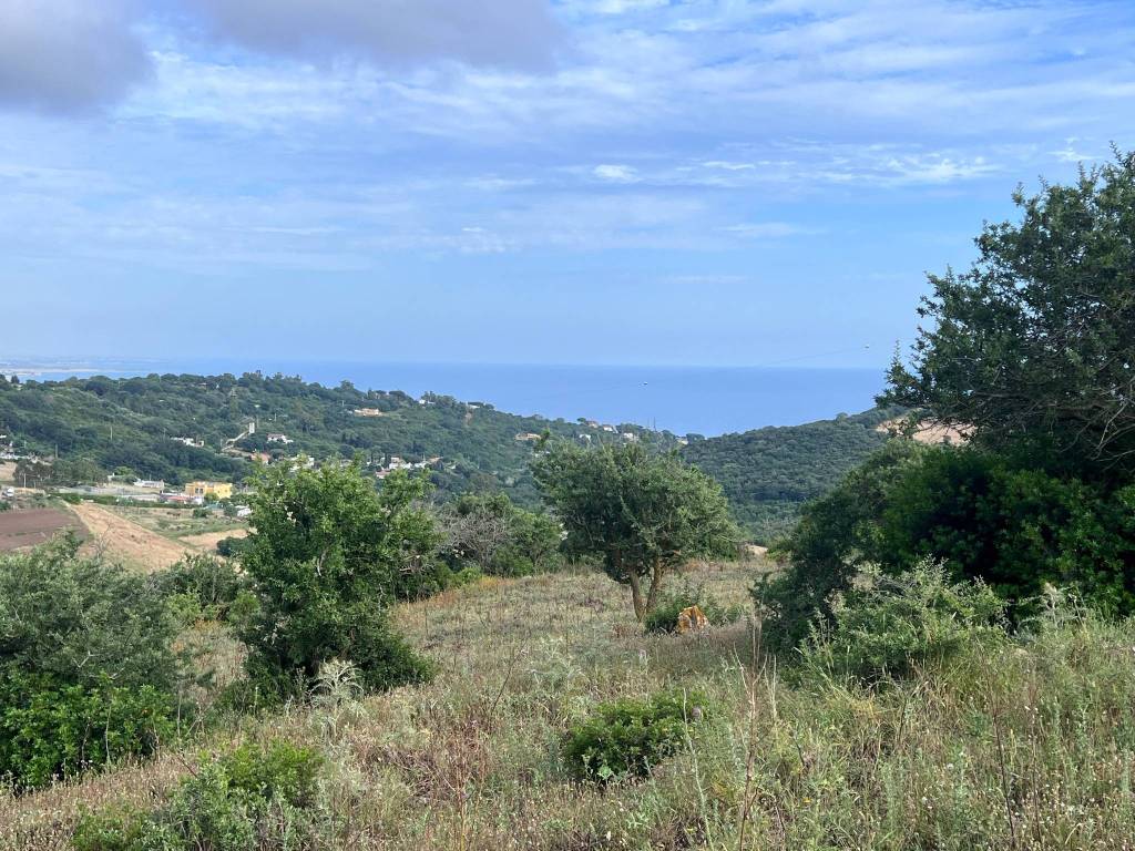 Terreno a Santa marinella in tre cancelli - Foto 3