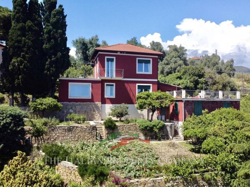 immagine di copertina