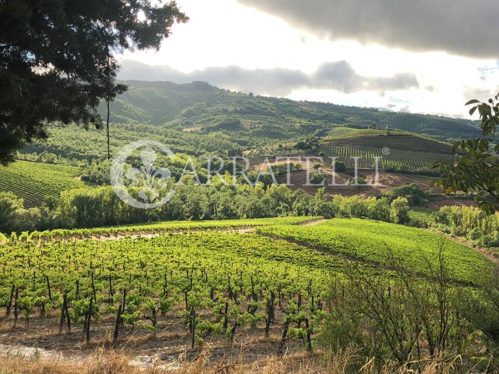 Rustico / casale a Orvieto in Vicolo della Pace, 5 - Foto 4