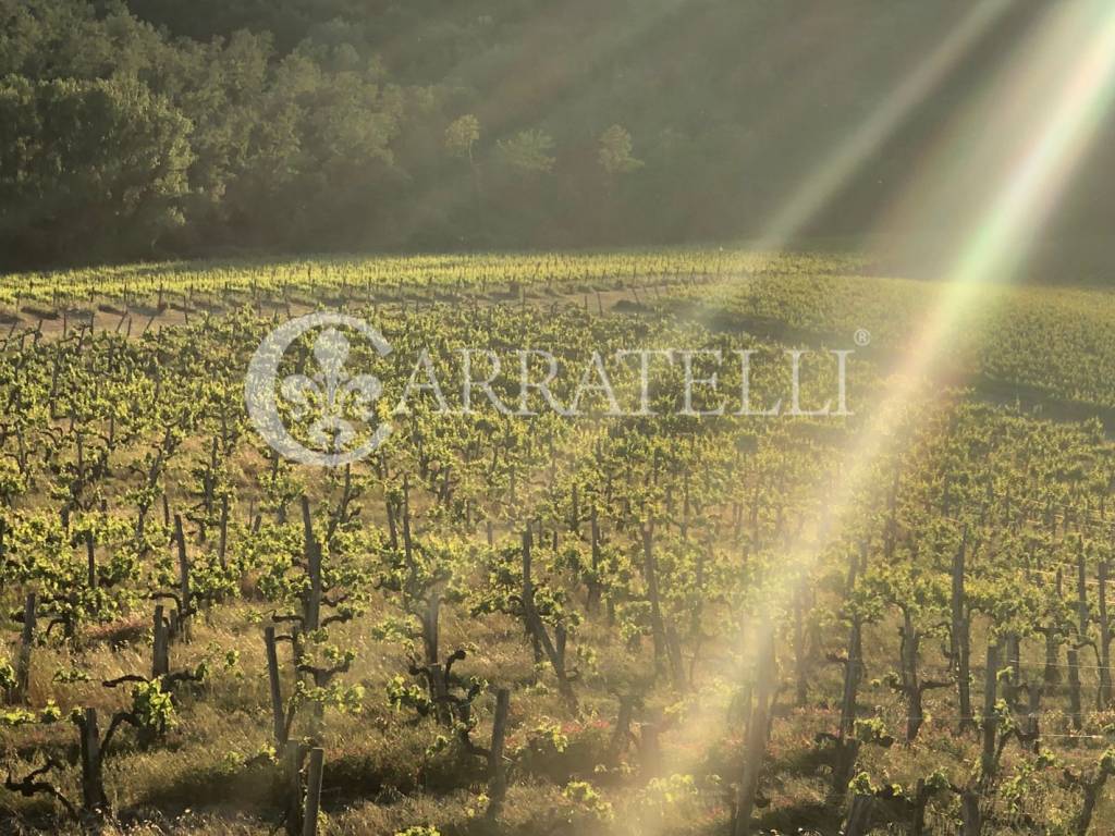 Rustico / casale a Orvieto in Vicolo della Pace, 5 - Foto 5