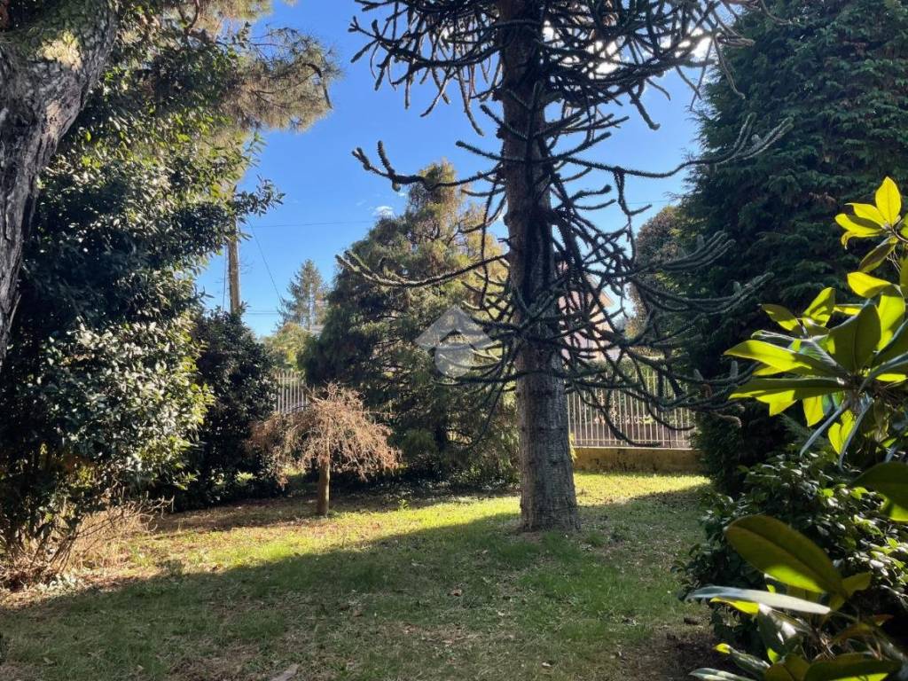 Villa a Cardano al campo in Via gramsci, 50 - Foto 5