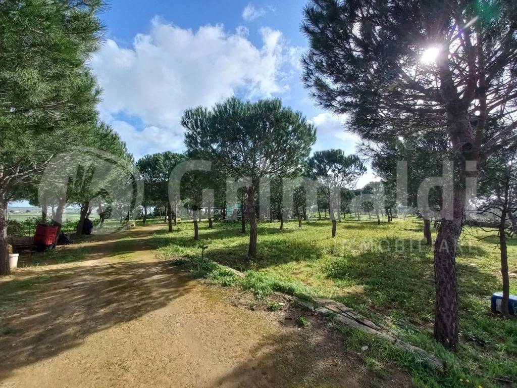 Terreno a Ugento in Via Firenze, 120 - Foto 4