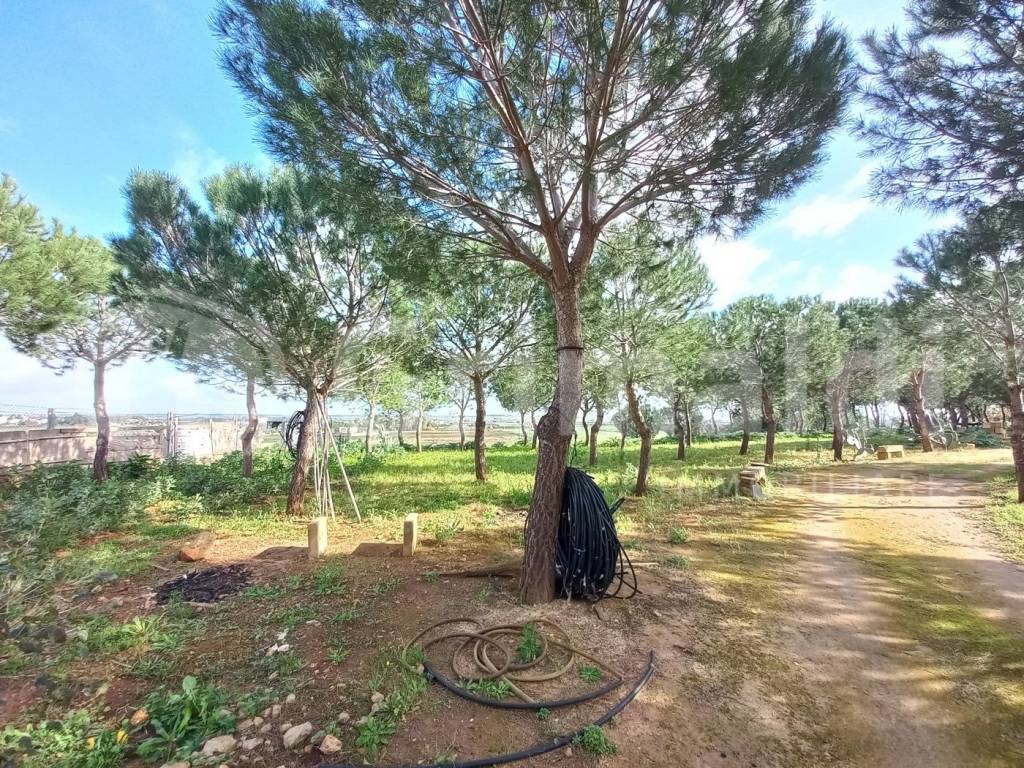 Terreno a Ugento in Via Firenze, 120 - Foto 5